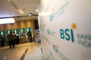 BSI-2-8