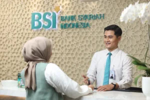 BSI-4-8