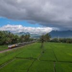 KAI-KA-Airlangga-1